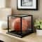 Black Basketball Display Case with Mirror Back by Studio Décor®